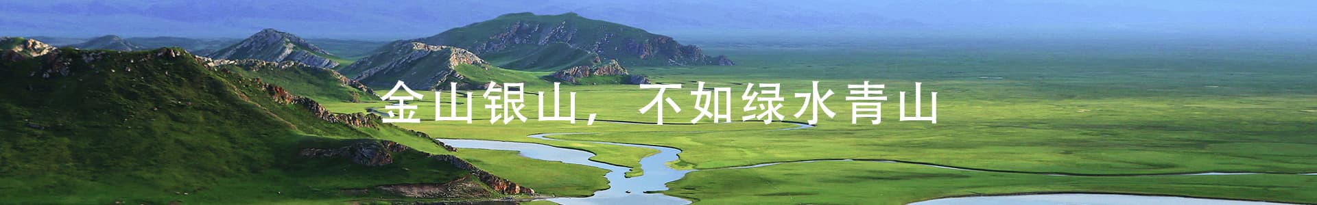 公司动态